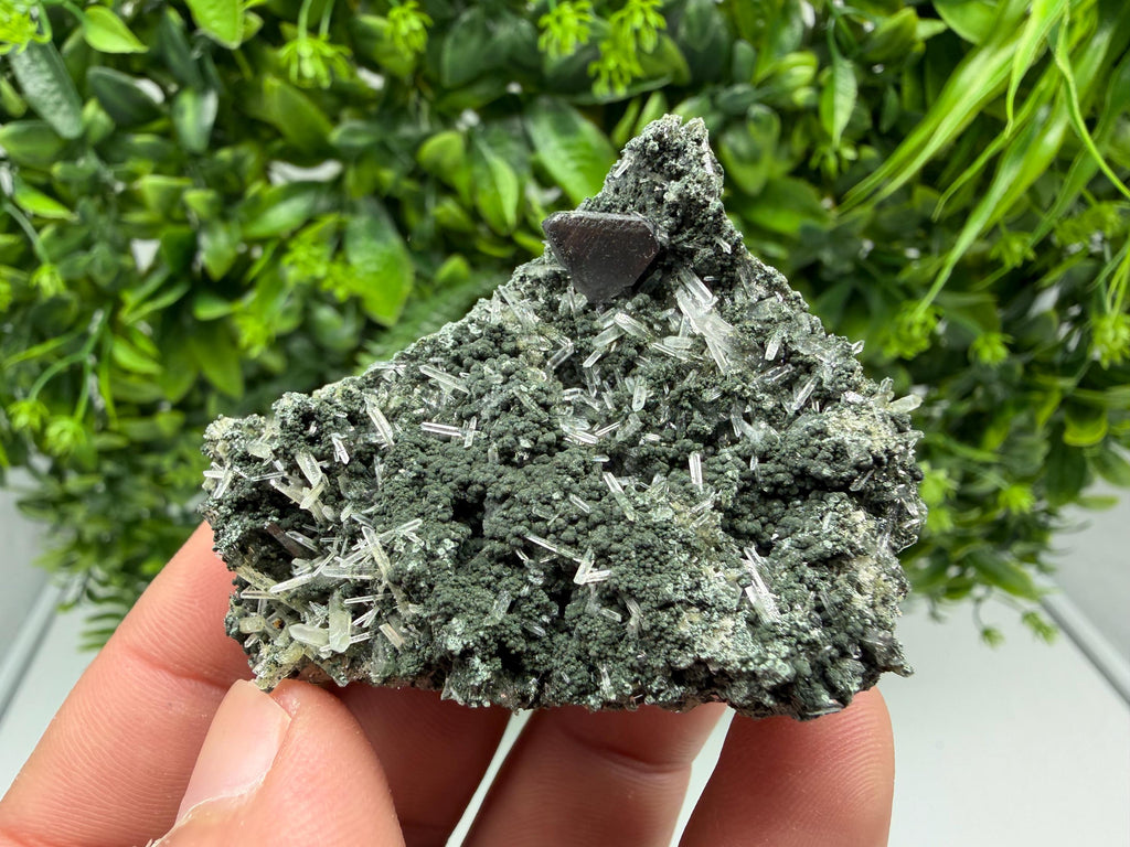 Sphalerite  on Green Quartz: Borieva Mine Crystal Decor