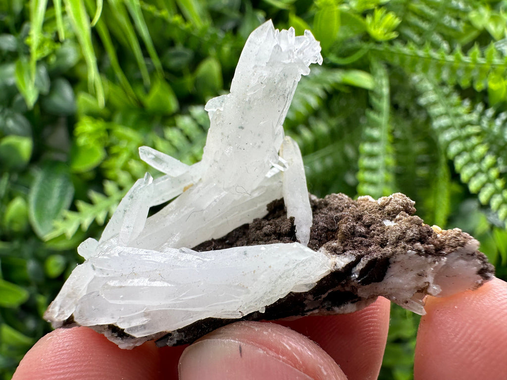Quartz with Chlorite, Rhodochrosite and Siderite Crystal Mineral Specimen