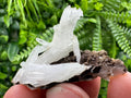 Quartz with Chlorite, Rhodochrosite and Siderite Crystal Mineral Specimen
