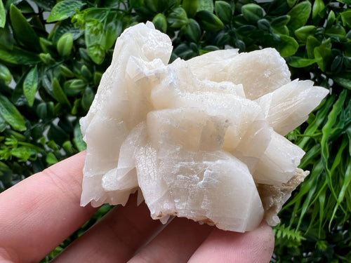 Calcite on Green Quartz: Djurcovo Mine, Bulgaria Healing Crystal