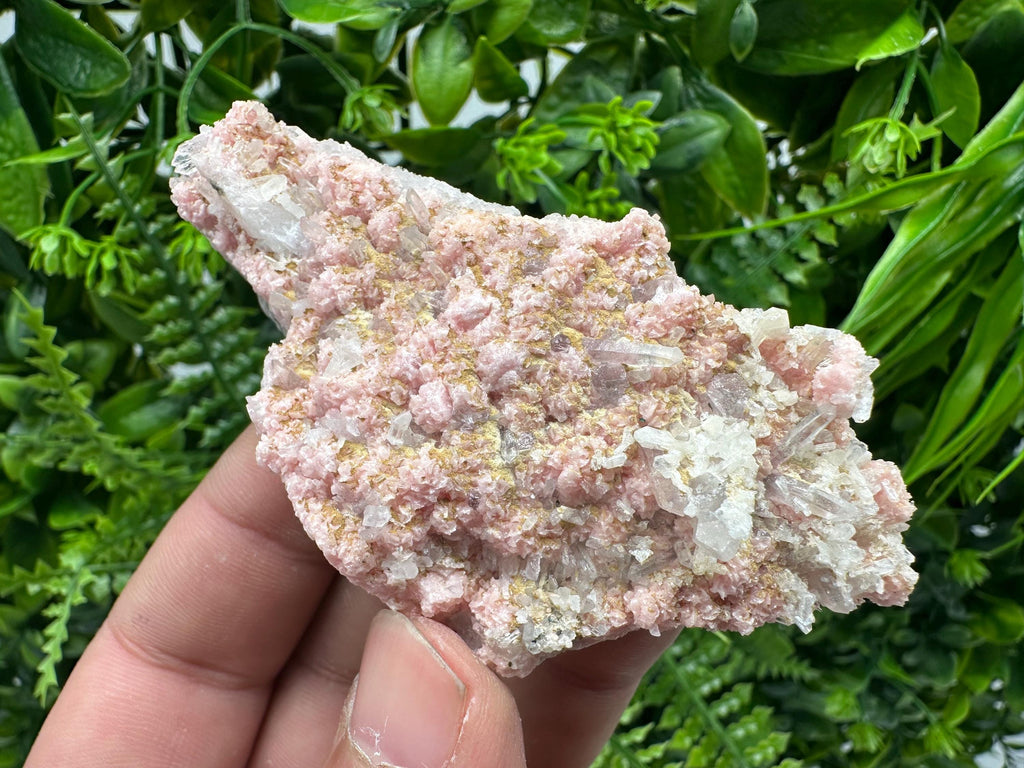 Rhodochrosite on Quartz: Pink Crystal Home Decor, Bulgaria Mineral Souvenir