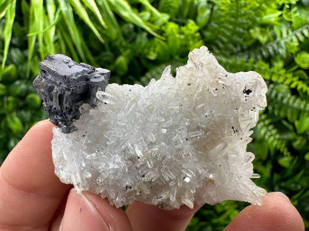 Galena on Quartz, Natural Crystal Mineral Specimen