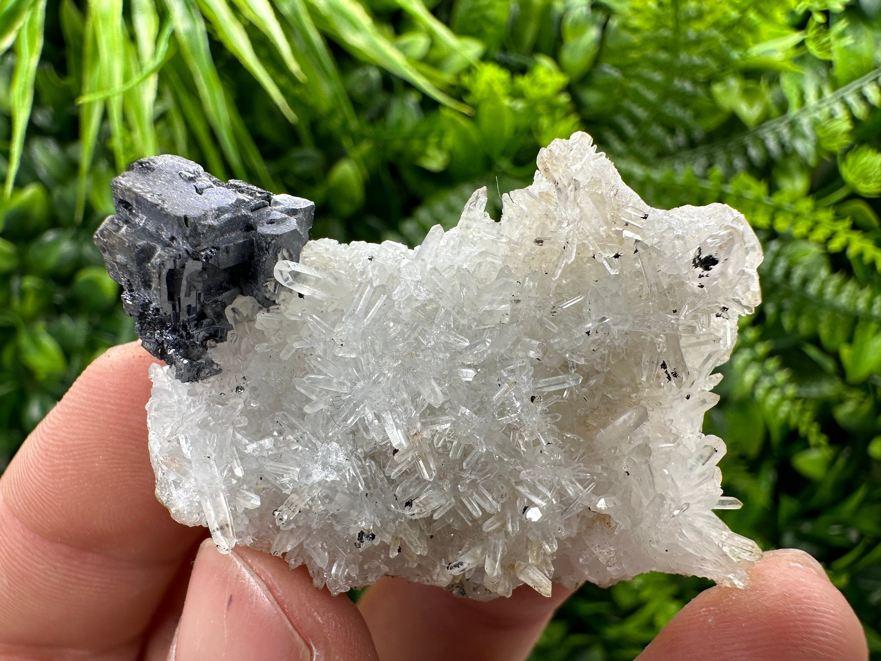 Galena on Quartz, Natural Crystal Mineral Specimen