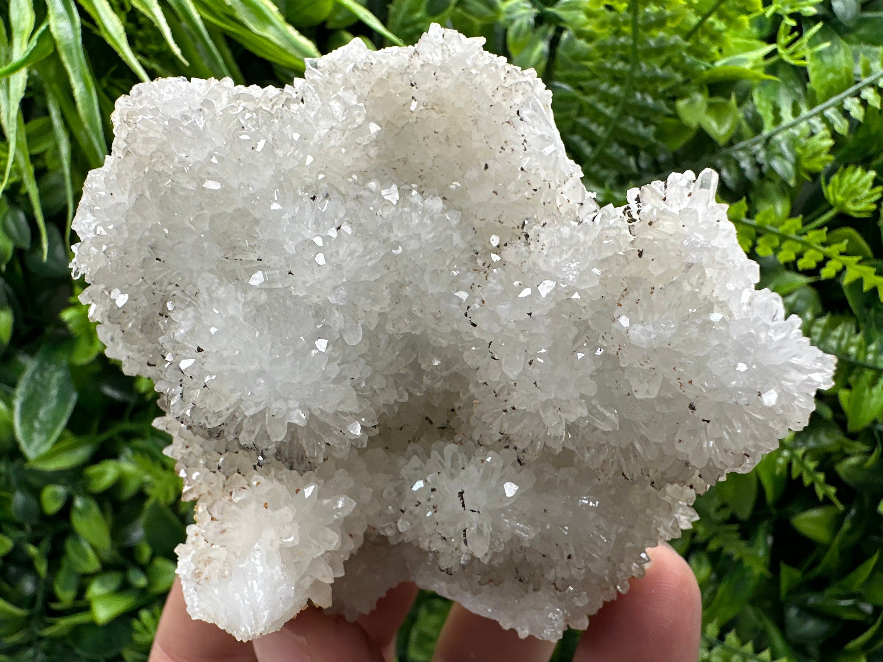 Transparent Quartz Cluster, Natural Minerals, Bulgaria