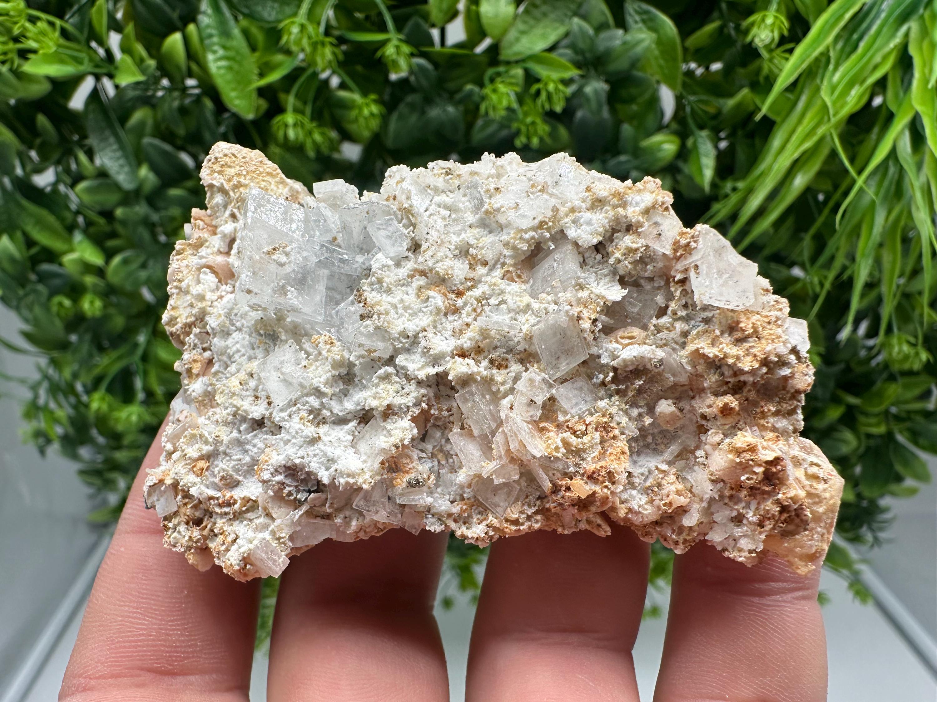 Dolomite Mangano Calcite with Barite on Marcasite, Androvo Mine Bulgaria