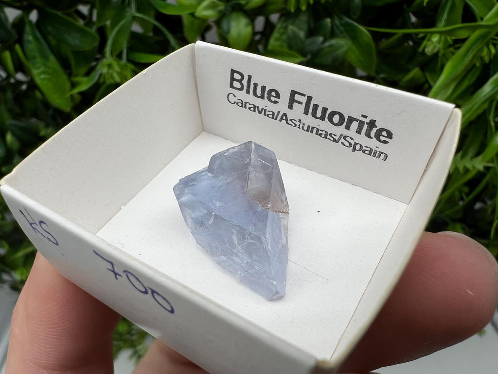Blue Fluorite from Spain,Mineral Specimen,Blue Fluorite,Fluorite from Spain,Collection, Fluorite Collectors, Crystal Fluorite,collection