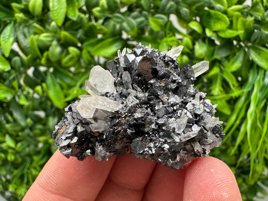 Wonderful Sphalerite Chalcopyrite on  Quartz whit Galena feom 9 th September mine,Bulgaria,natural,collection mineral specimen,gift