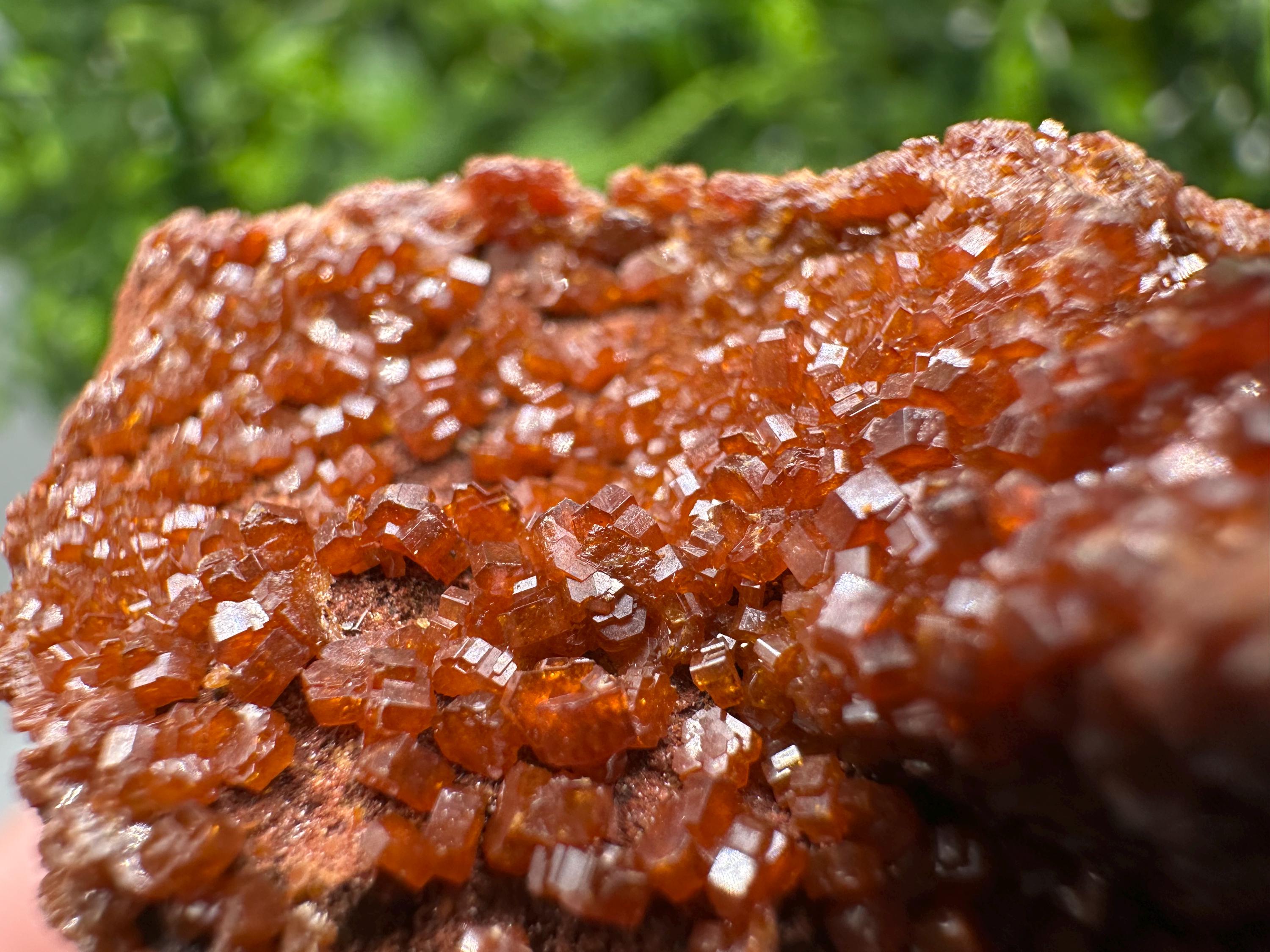 Red Vanadinite on Matrix from Marocco,crystal minerals Speciment cluster Vanadinite crystal Vanadinite Geology Vanadinite cluster minerals