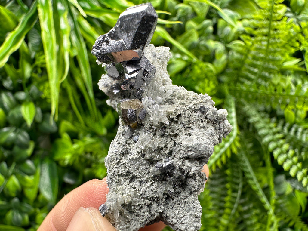 Spinel Law Galena on Quartz with Chalcopyrite: Borieva Mine Minerals