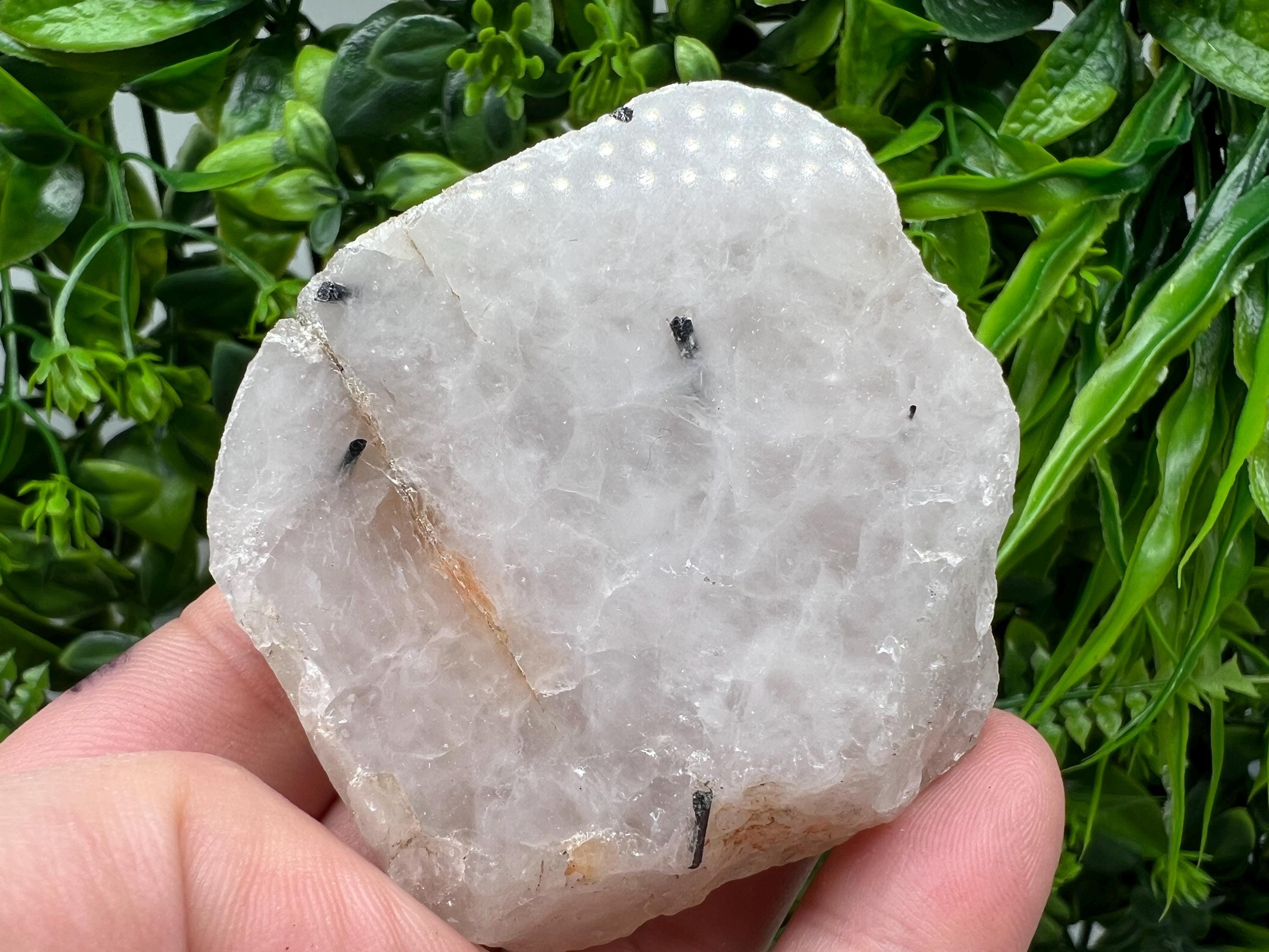 Black Tourmaline in Quartz Polished Slab