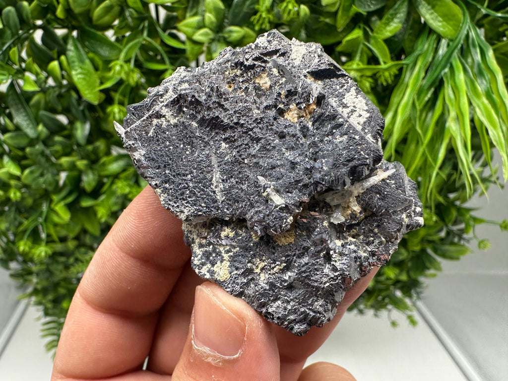 Galena Spinel Law Mineral Specimen: Krushev Dol, Bulgaria