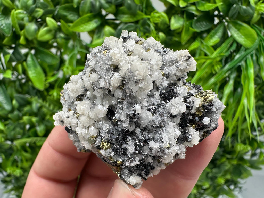 Wonderful Chalcopyrite Galena on Quartz whit Chlorite natural minerals souvenir crystal gift home decor stone Borieva mine Madan Bulgaria
