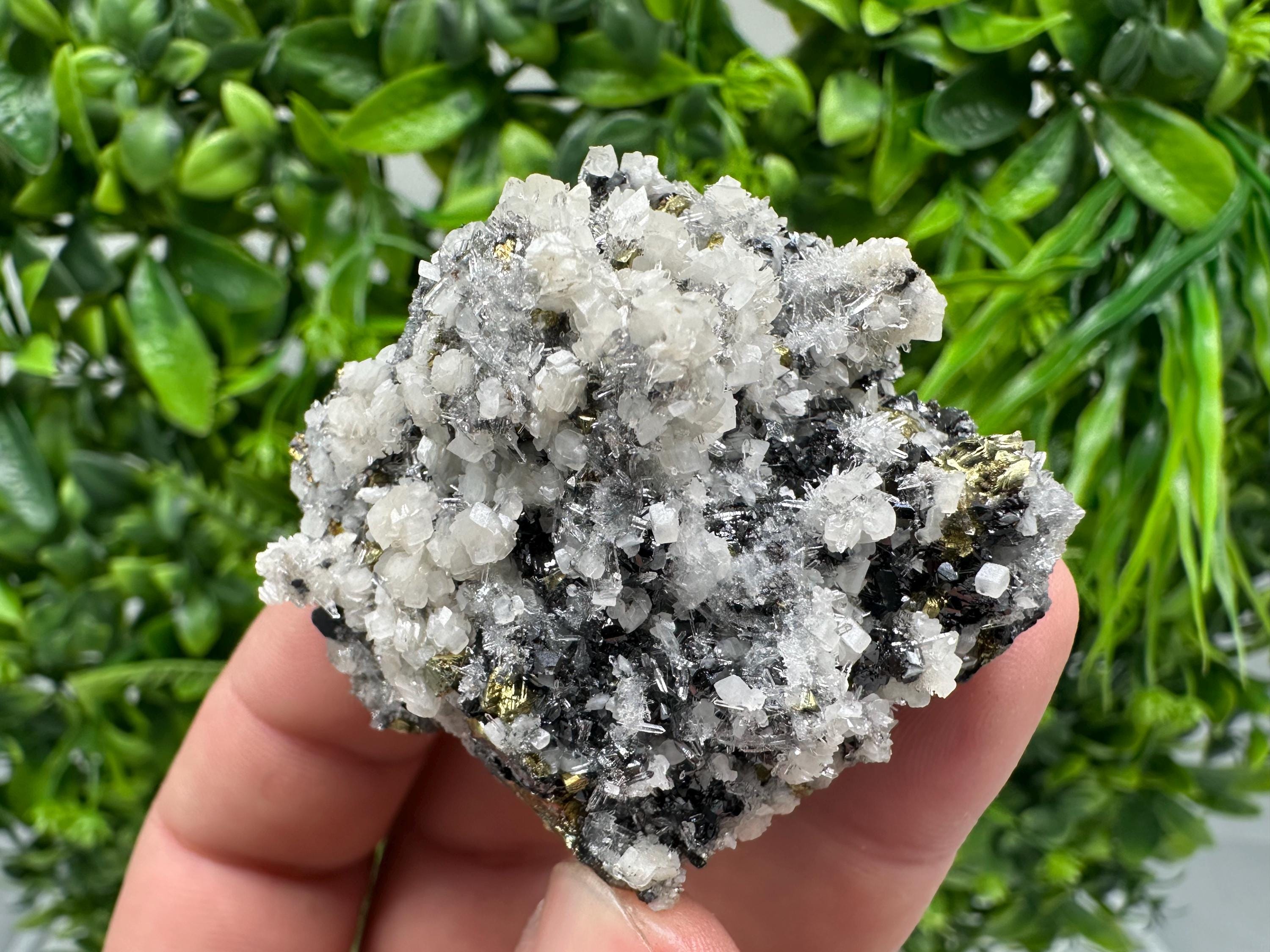 Wonderful Chalcopyrite Galena on Quartz whit Chlorite natural minerals souvenir crystal gift home decor stone Borieva mine Madan Bulgaria
