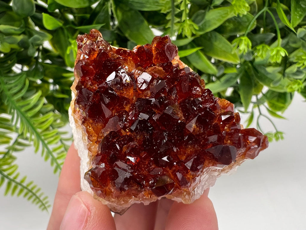 Brazilian Citrine Crystal Cluster with Hematite