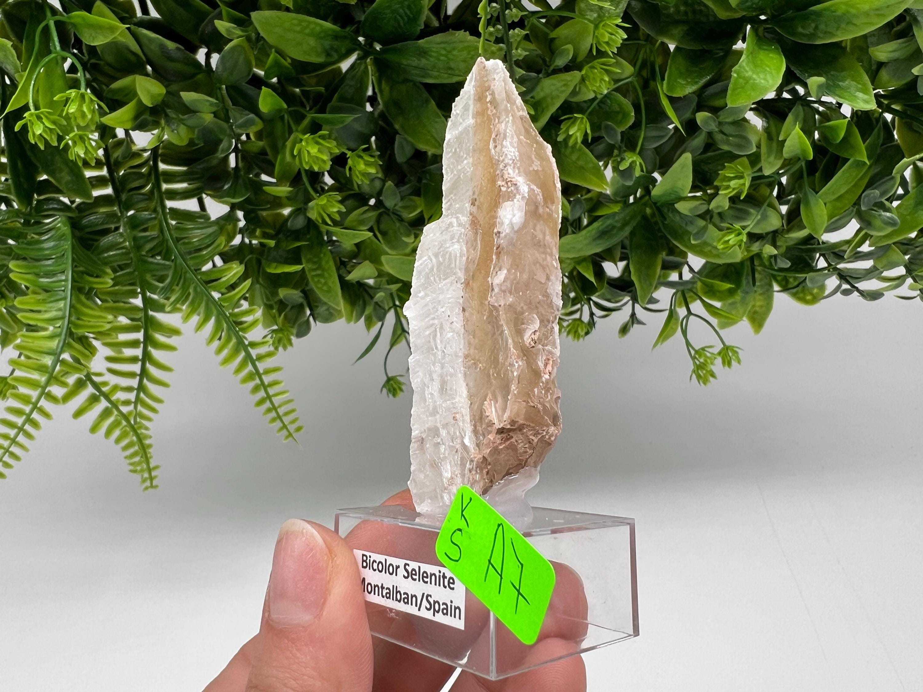 Golden Phantom Selenite Slab: Utah Raw Crystal Wand (3/7.5cm