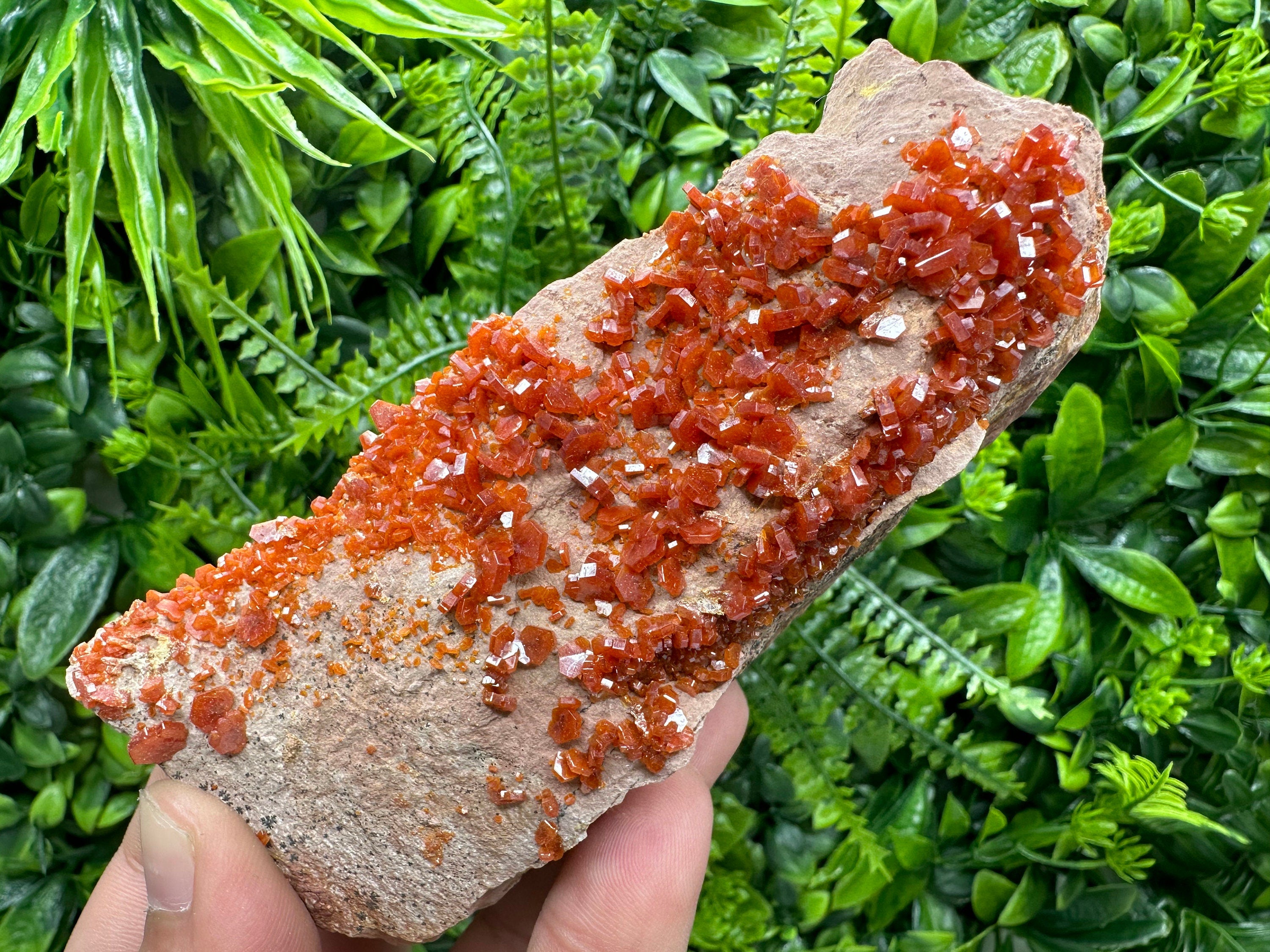 Red Vanadinite Crystal Cluster on Matrix, Morocco Specimen