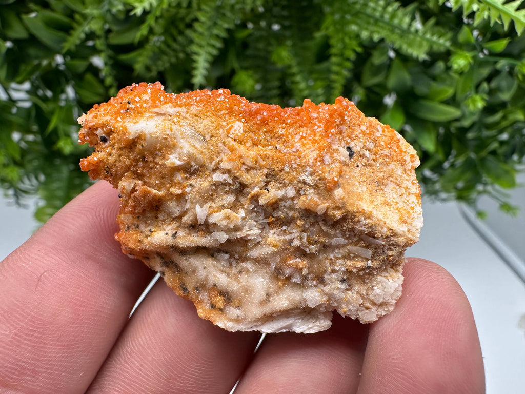 Red Vanadinite on Barite from Marocco,crystal minerals Speciment cluster Vanadinite crystal Vanadinite Geology Vanadinite cluster minerals