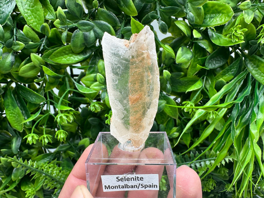 Raw Utah Golden Phantom Selenite Slab: Fishtail Selenite Wand