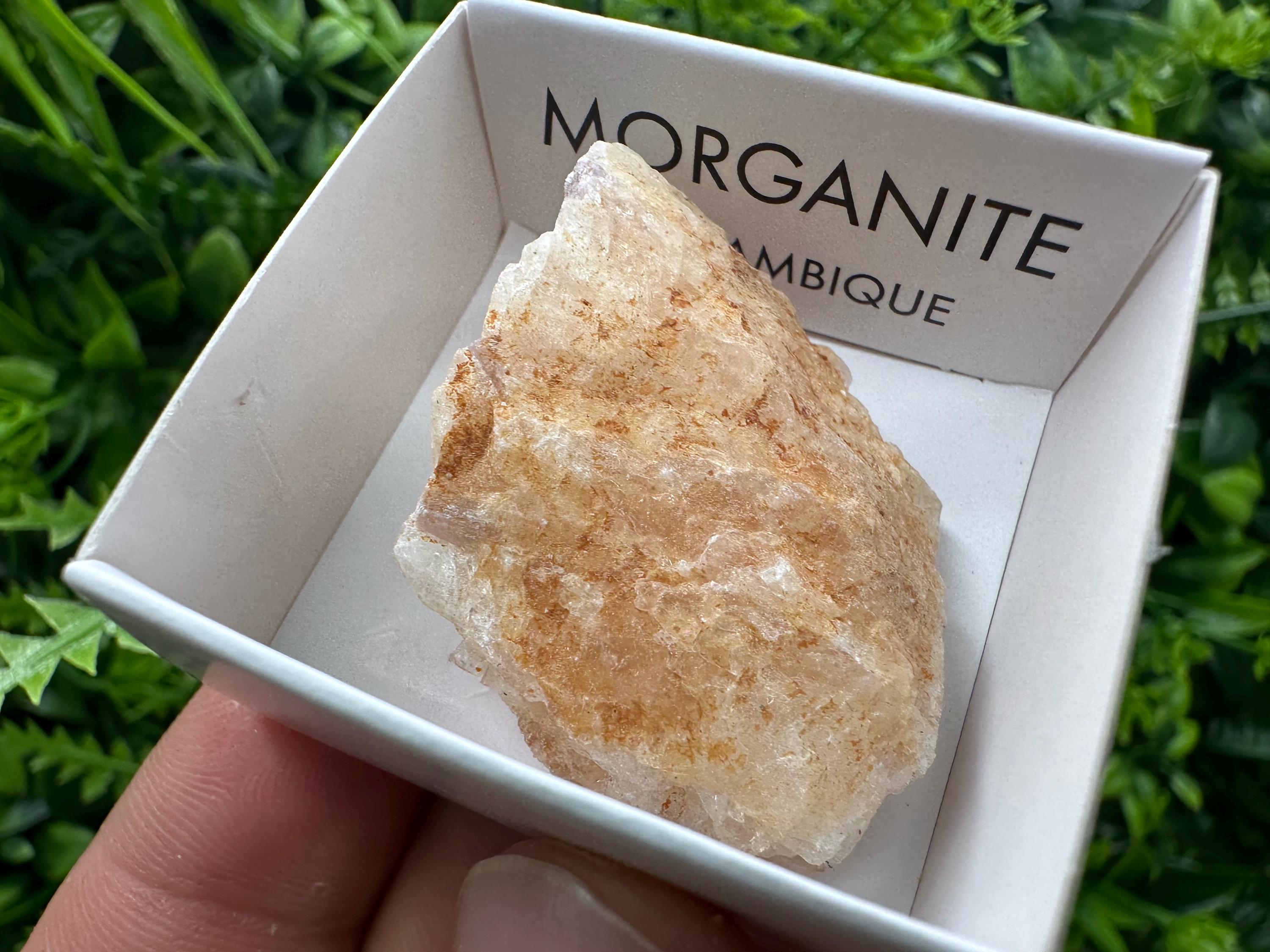Rare Raw Morganite Specimen: Mozambique Crystal (3.5/3cm)