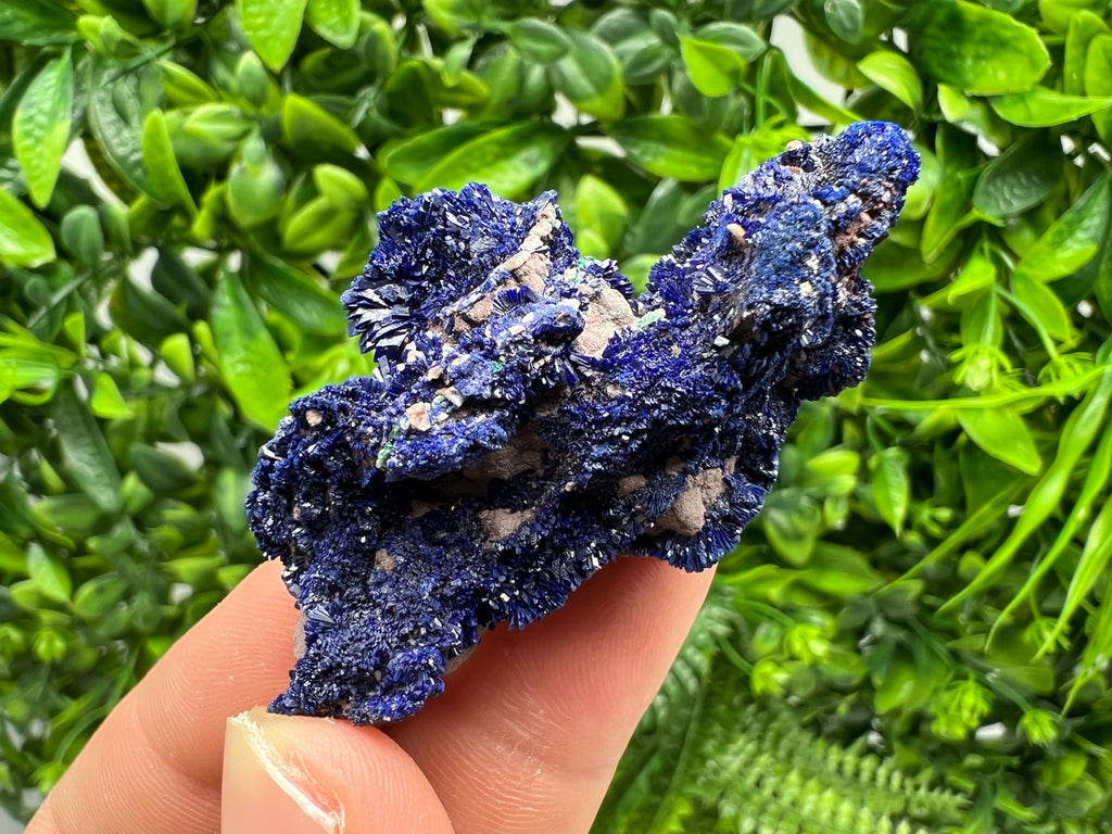 Crystallized Azurite-Kerrouchen,Morocco-Blue Azurite Specimen-High Quality Blue Azurite-Azurite Mineral Specimen, gemmy,lustrous of Azurite