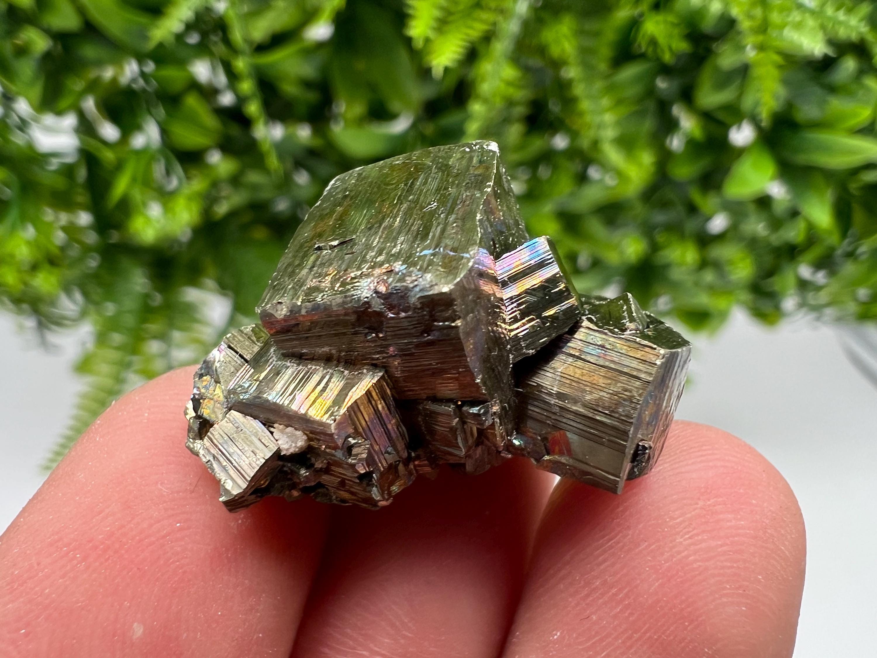 Rainbow Pyrite Hematite Cluster: Borieva Mine, Bulgaria
