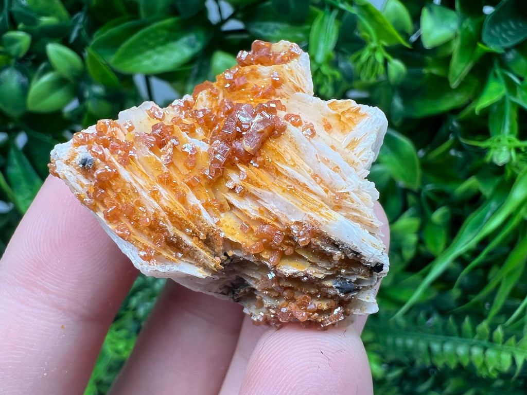 Red Vanadinite on Barite from Marocco,crystal minerals Speciment cluster Vanadinite crystal Vanadinite Geology Vanadinite cluster minerals