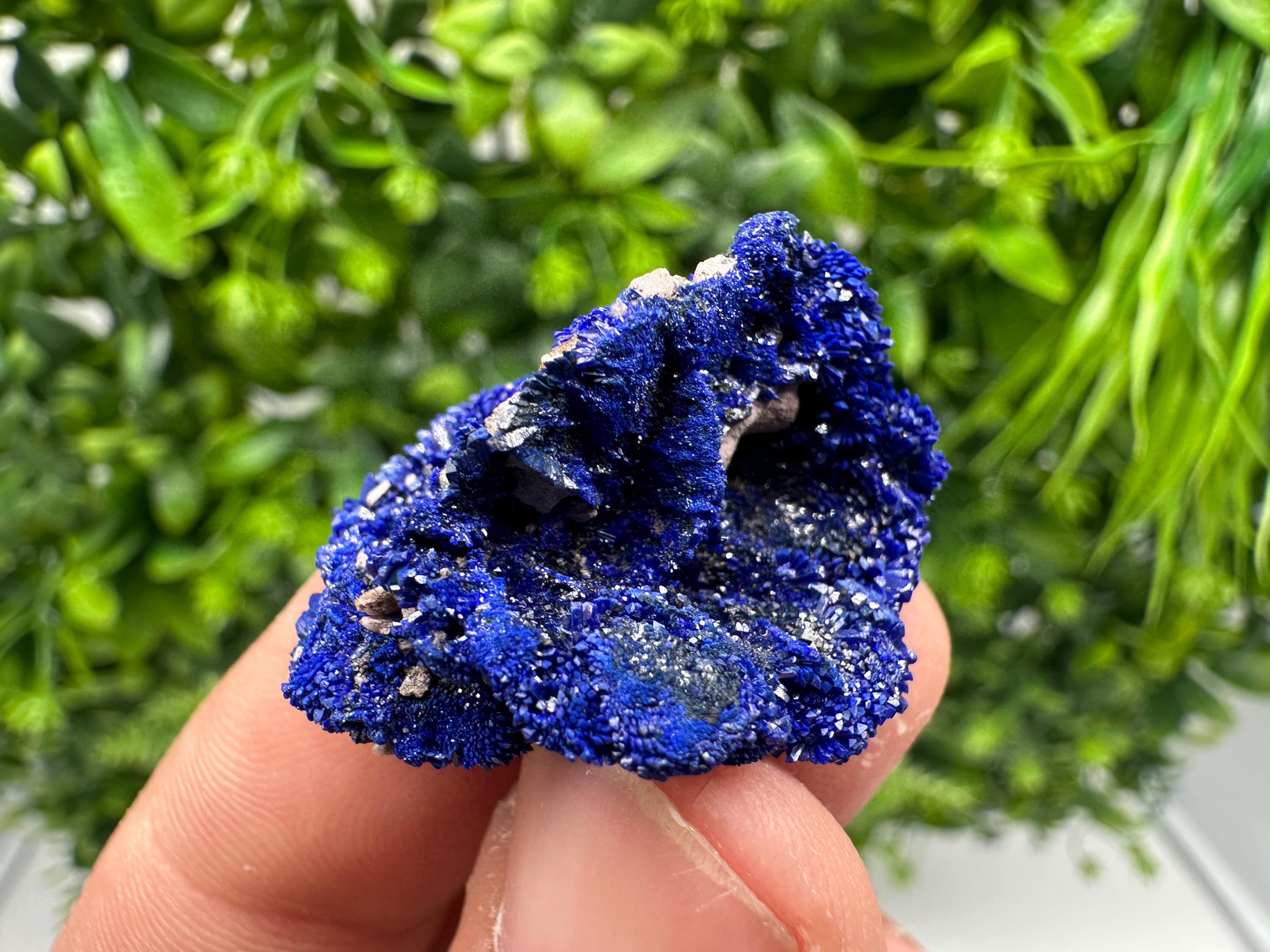 Crystallized Azurite-Kerrouchen,Morocco-Blue Azurite Specimen-High Quality Blue Azurite-Azurite Mineral Specimen, gemmy,lustrous of Azurite