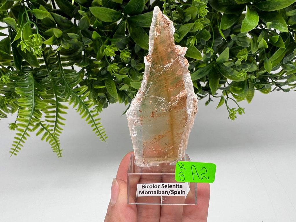 Golden Phantom Selenite Slab: Utah Raw Crystal Wand (4.5/9cm)