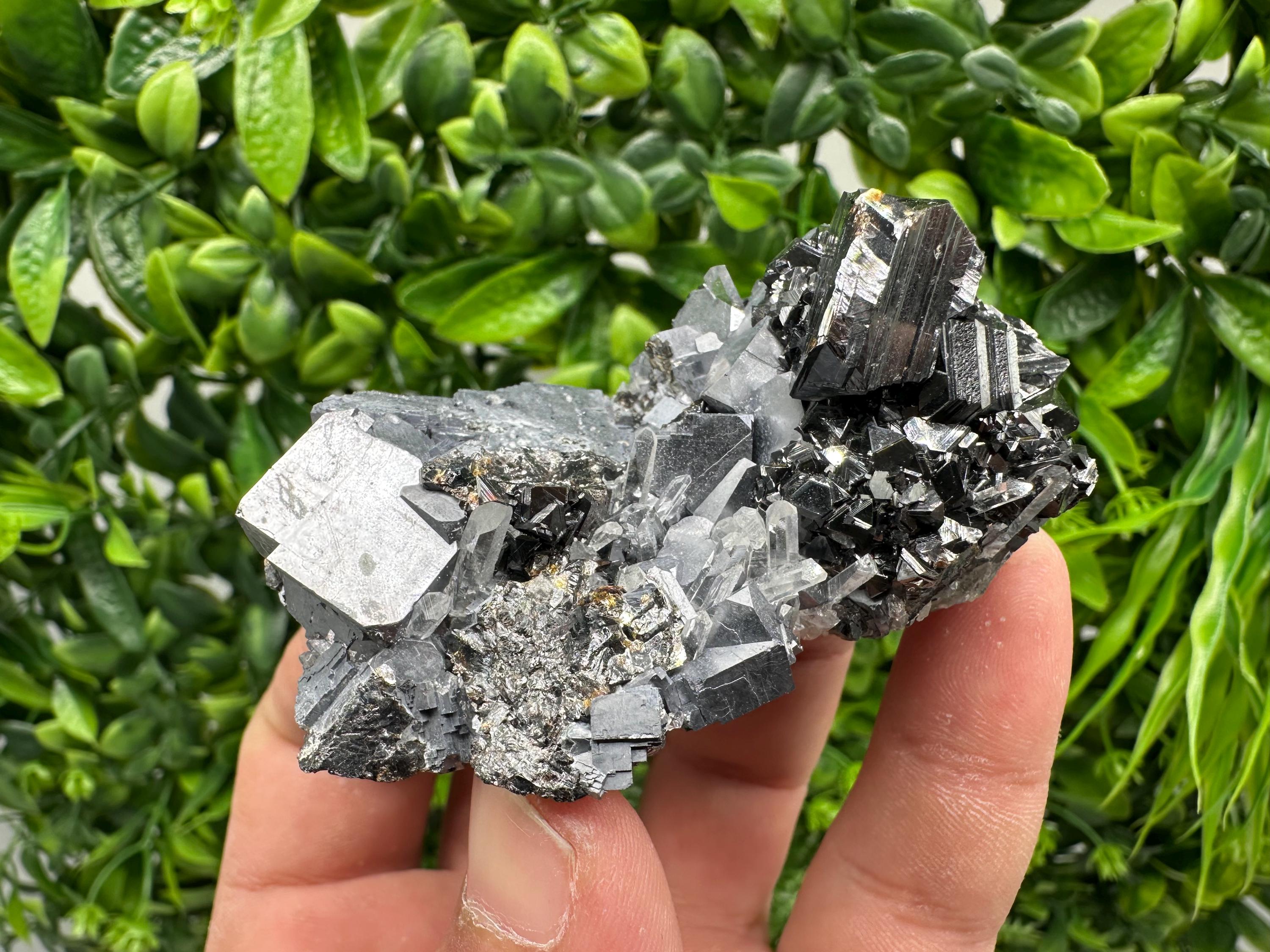 Galena on Sphalerite Mineral Specimen, Borieva Mine Bulgaria