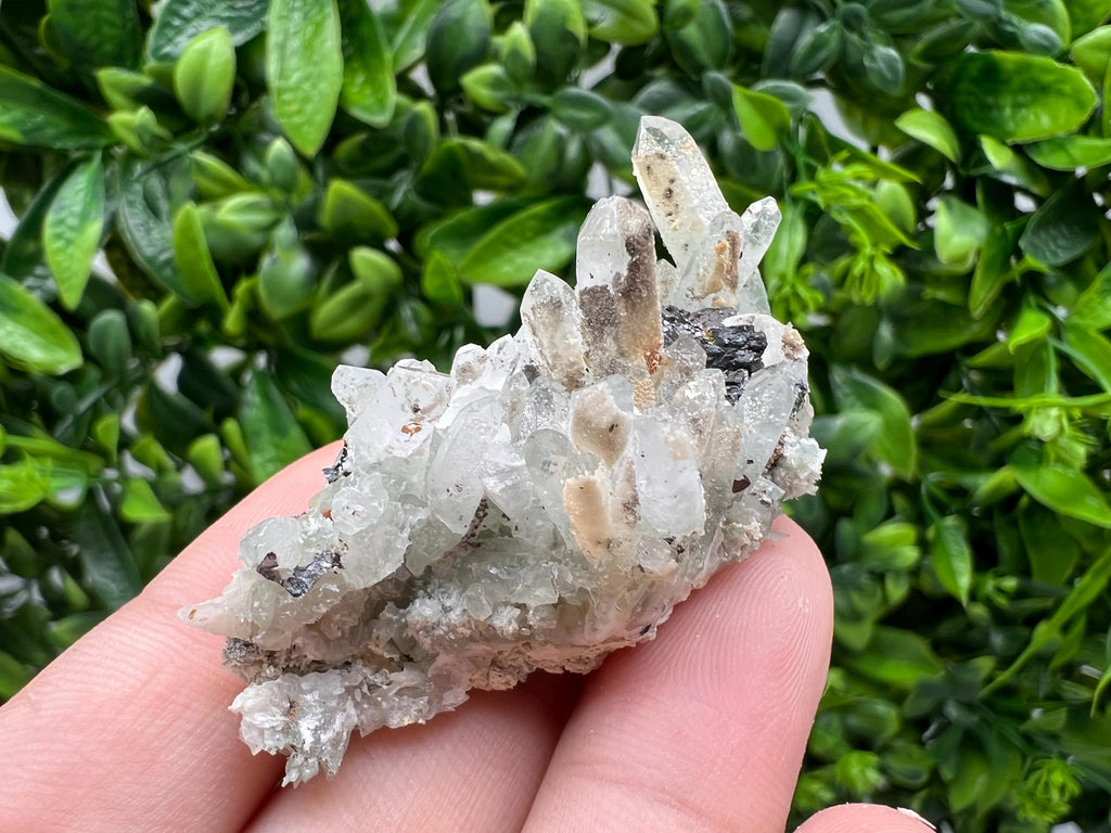 Transparent Quartz,Chlorite,Chalcopyrite Matrix,From Borieva mine,Madan,Bulgaria,Quartz,Quartz crystal,mineral specimen,collection quartz