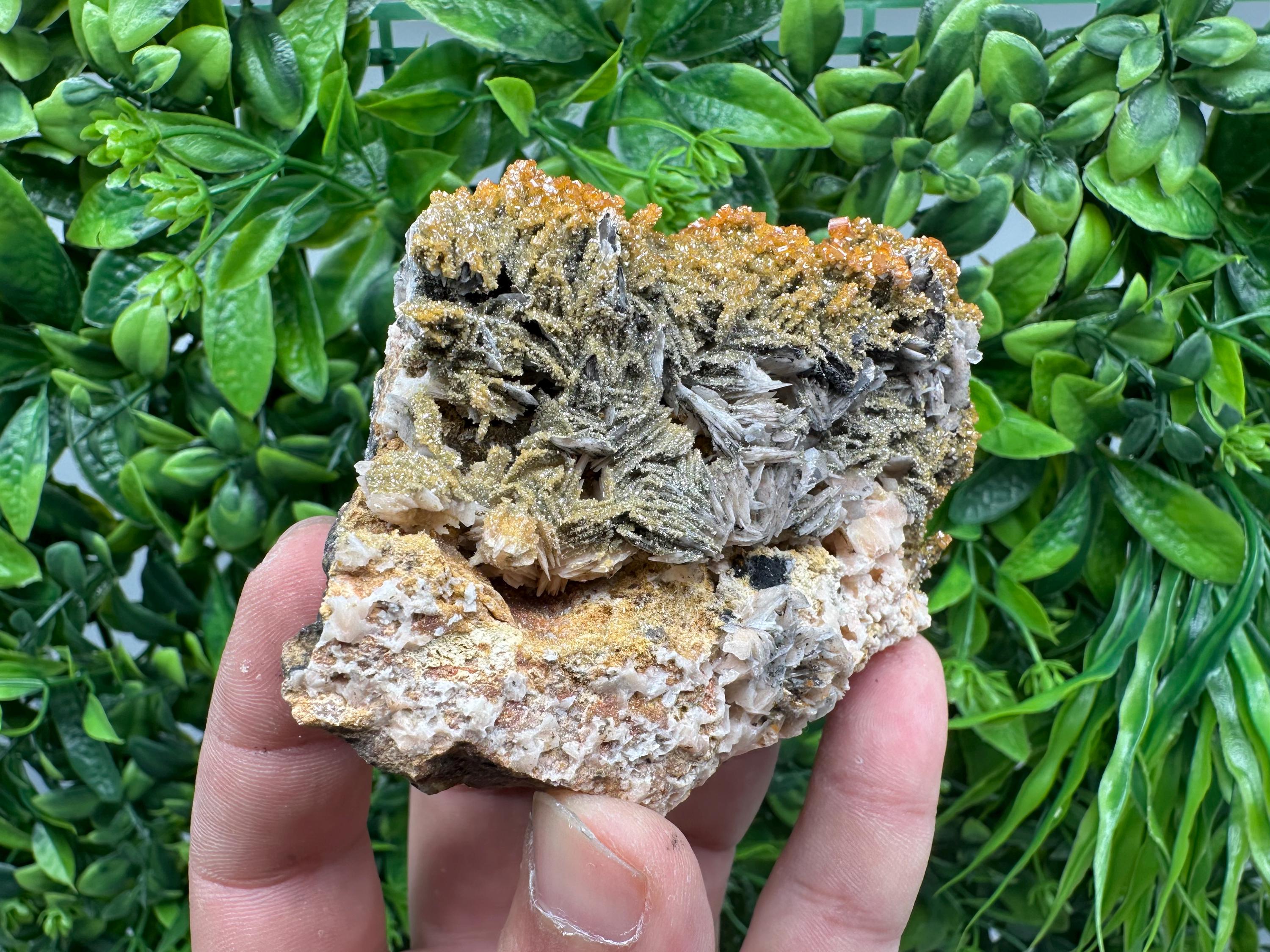 VERY Rare red Vanadinite on Barite whit Goethite from Marocco,crystal minerals Speciment cluster Vanadinite crystal Vanadinite Geology Vanad