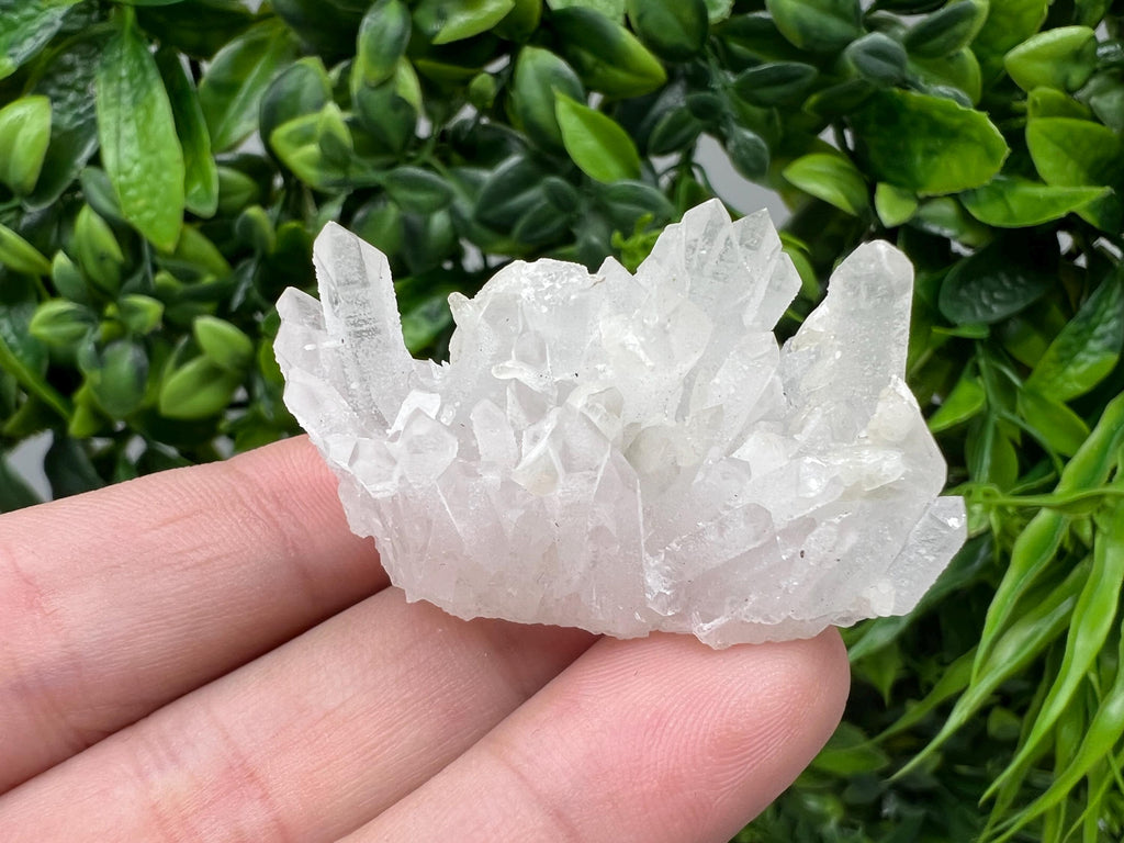 Wonderful Transparent Quartz on Chlorite Matrix,From Borieva mine,Madan,Bulgaria,Quartz,Quartz crystal,mineral specimen,collection quartz