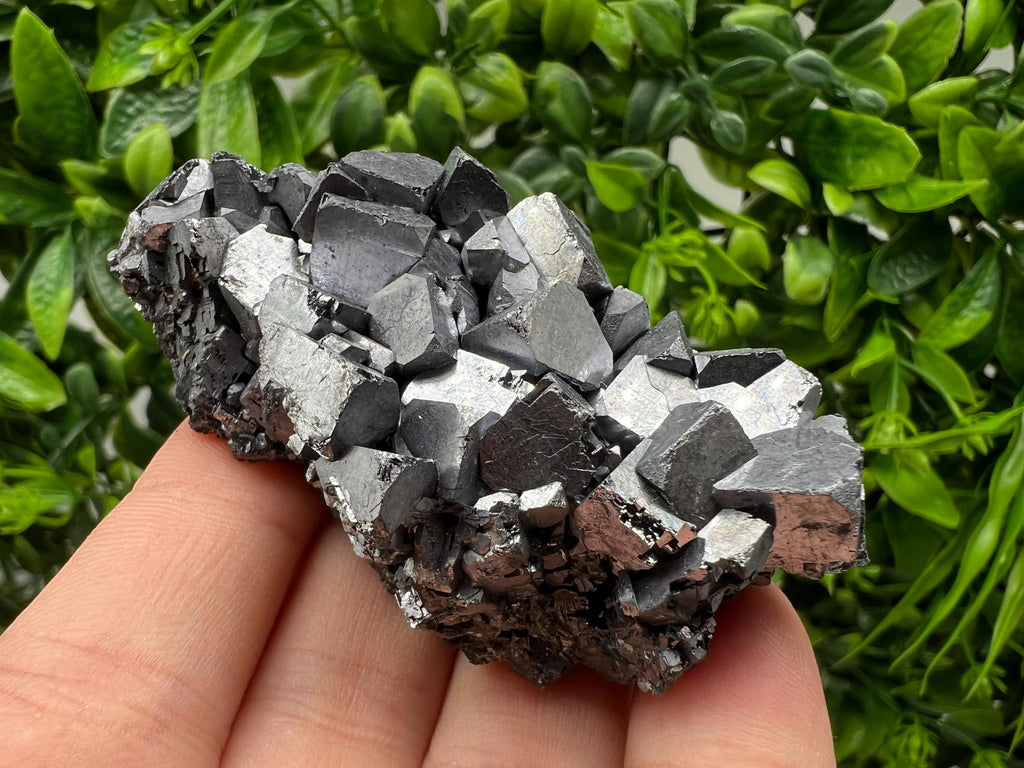 Galena with Sphalerite Mineral Specimen, Borieva Mine, Bulgaria