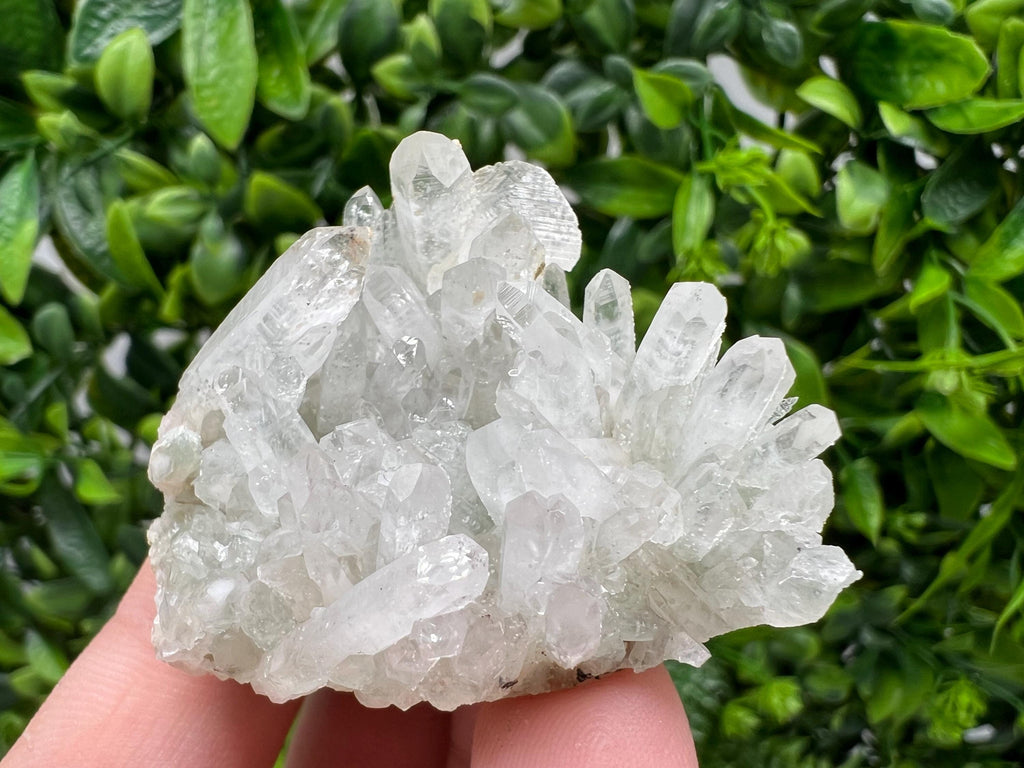 Wonderful Transparent Quartz on Chlorite Matrix,From Borieva mine,Madan,Bulgaria,Quartz,Quartz crystal,mineral specimen,collection quartz