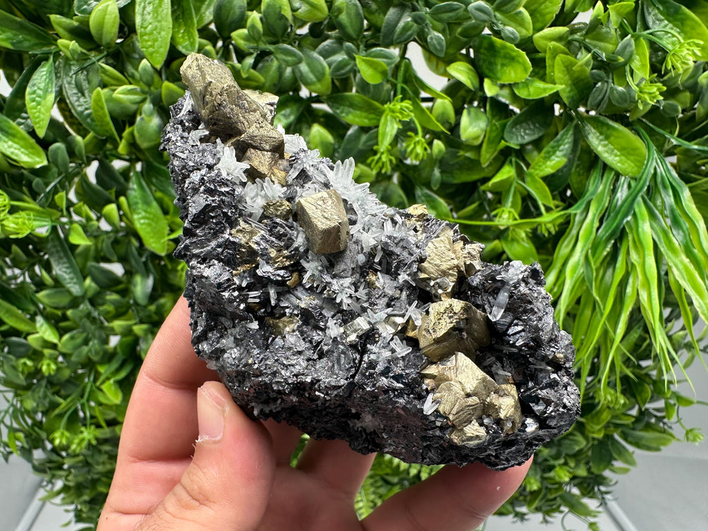 Chalcopyrite with Sphalerite on Quartz, Borieva Bulgaria