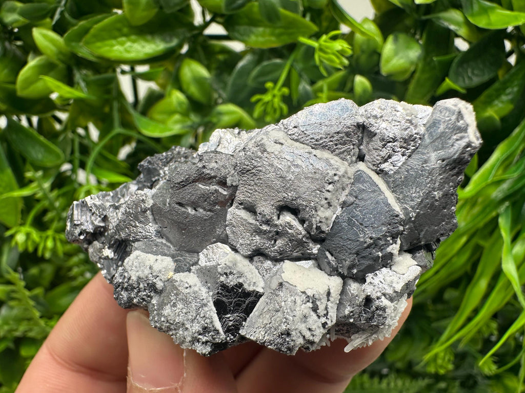 Galena with Quartz Specimen: Krushev Dol Mine, Bulgaria
