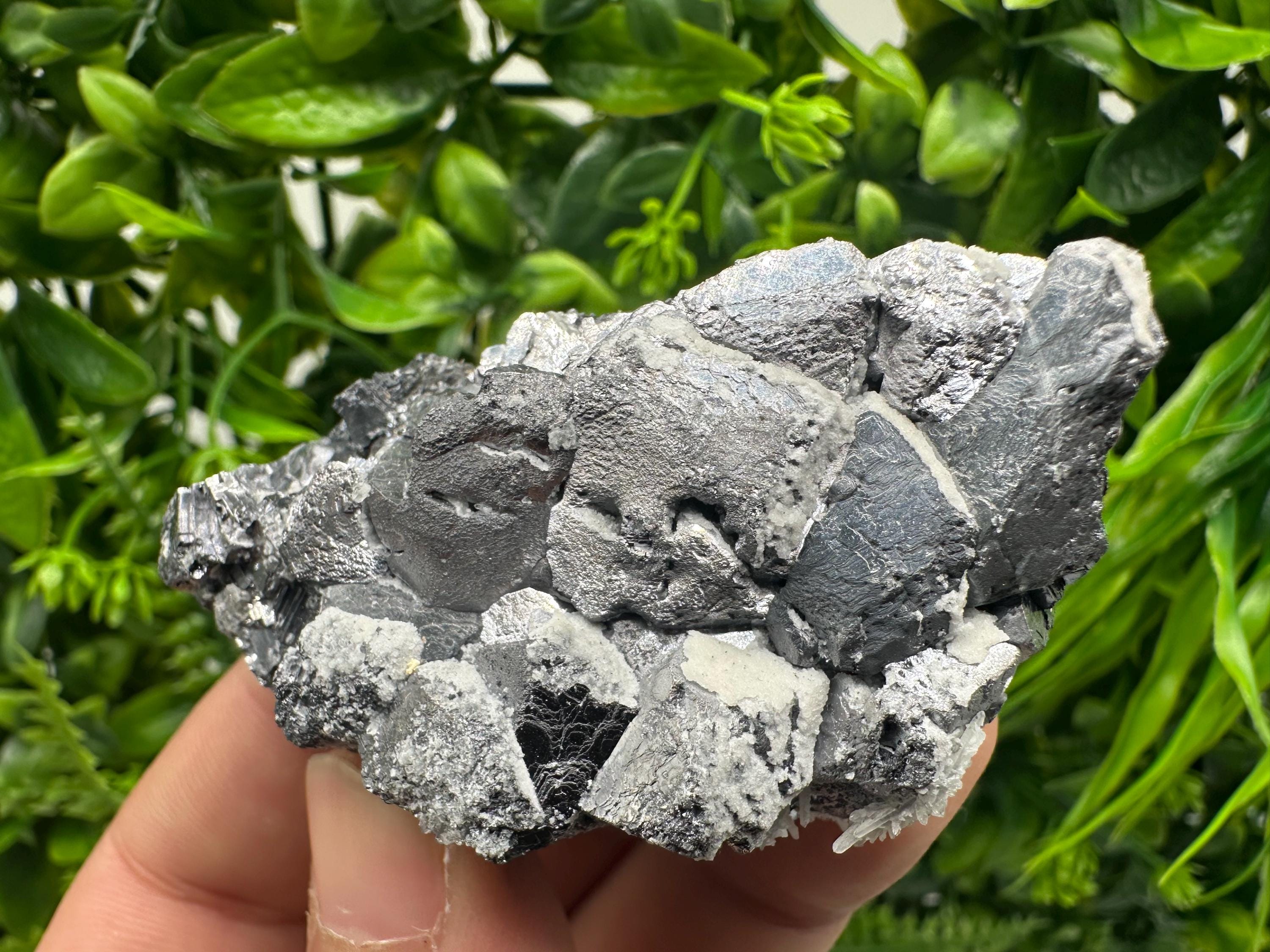Galena with Quartz Specimen: Krushev Dol Mine, Bulgaria