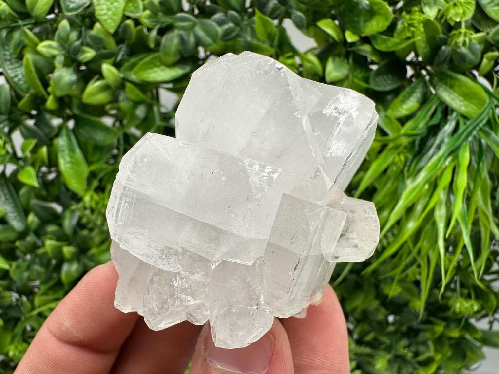 Apophyllite Stilbite on Chalcedony, India Crystal Mineral Specimen