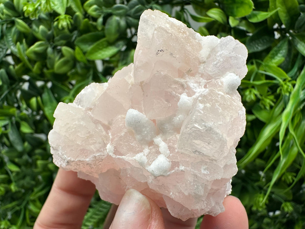 Mangano Calcite with Galena, Borieva Mine, Bulgaria