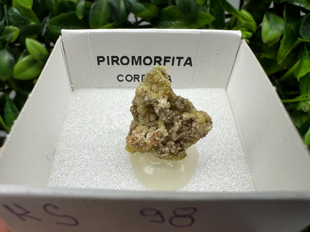 Pyromorphite Stone / Pyromorphite on Matrix / Pyromorphite Crystal / Raw Crystal / Pyromorphite Cluster / Rough Pyromorphite / Pyromorphite