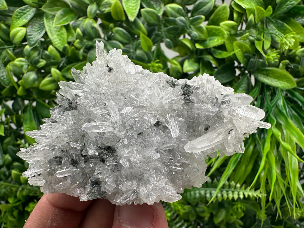 Transparent Quartz on Chlorite Matrix, Borieva Mine, Bulgaria