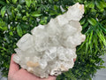 Large Apophyllite Stilbite on Chalcedony, India Mineral Specimen