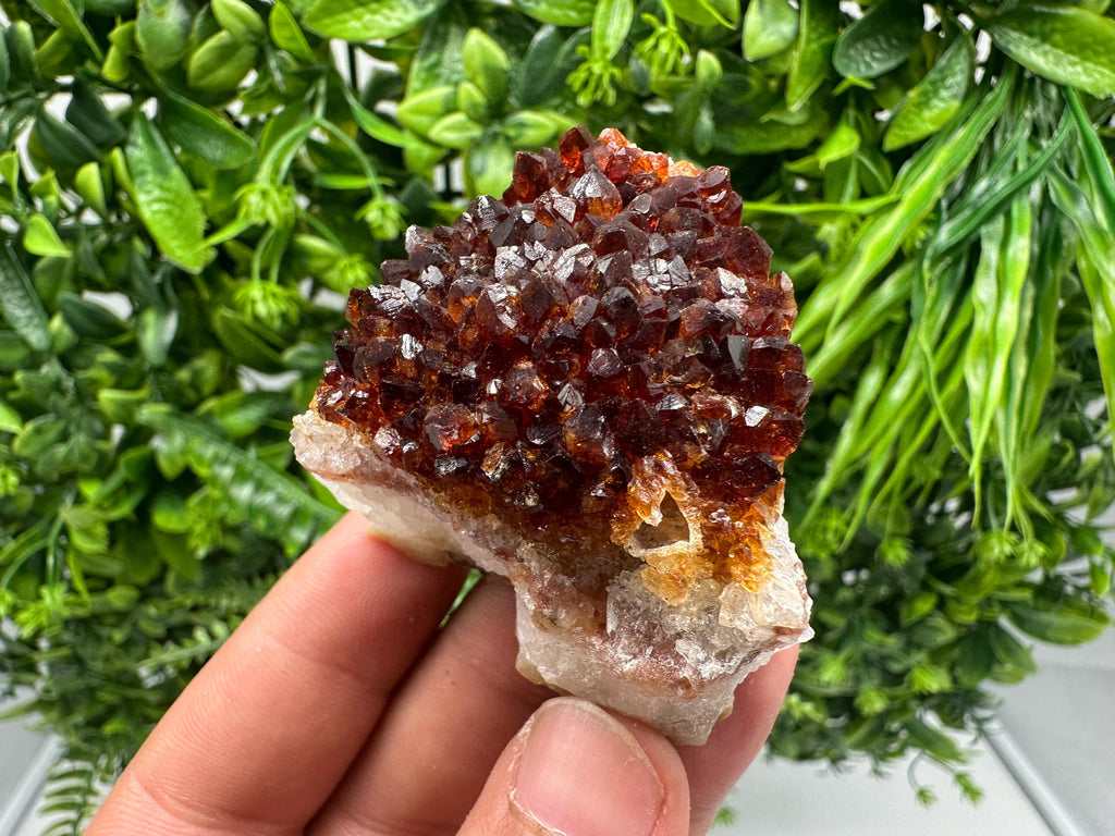 Citrine Crystal Cluster with Hematite Inclusions - Brazil