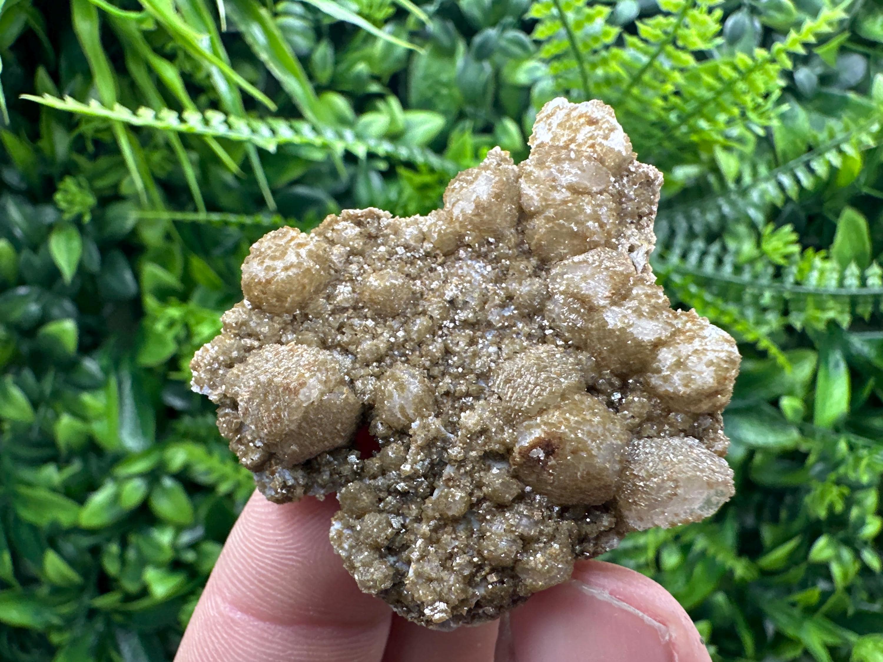 Brown Rhodochrosite on Calcite, Djurcovo Bulgaria, Mineral Specimen