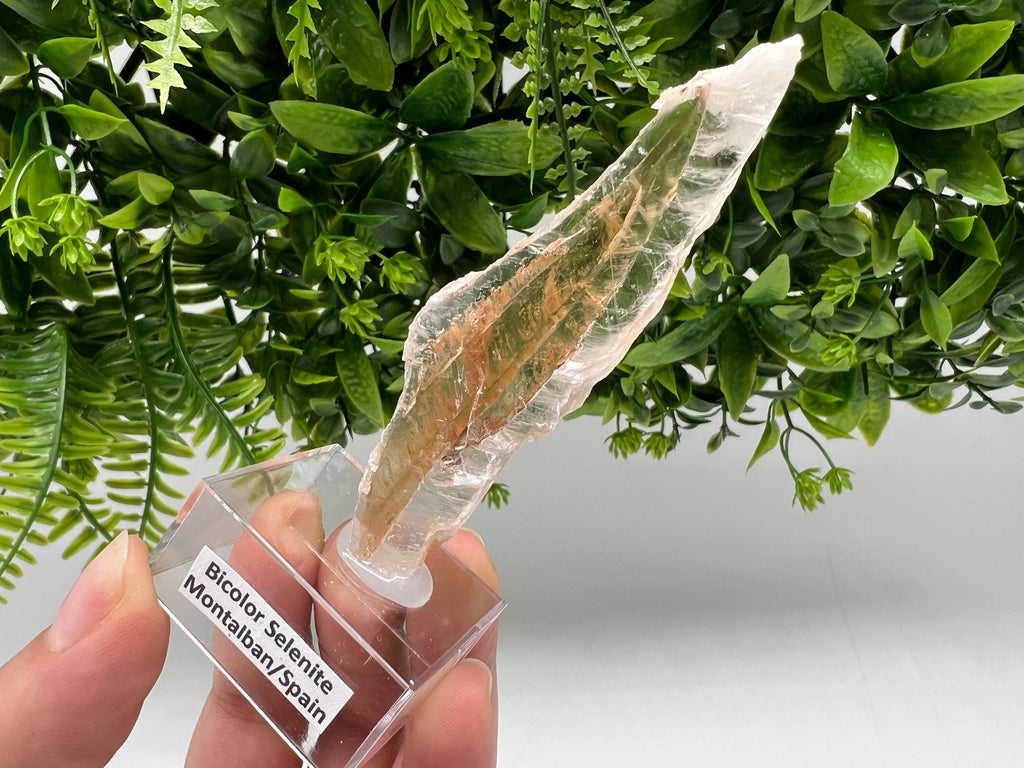 Golden Phantom Selenite Slab: Utah Raw Fishtail Selenite