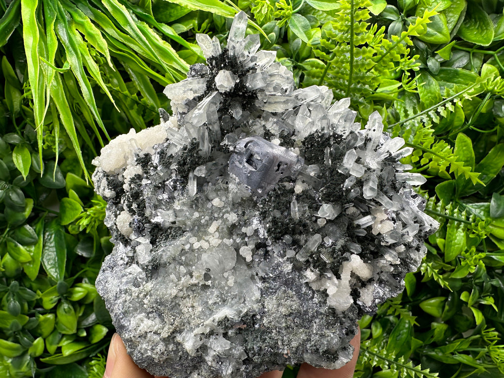 Galena on Quartz with Chlorite and Calcite: Natural Crystal Decor