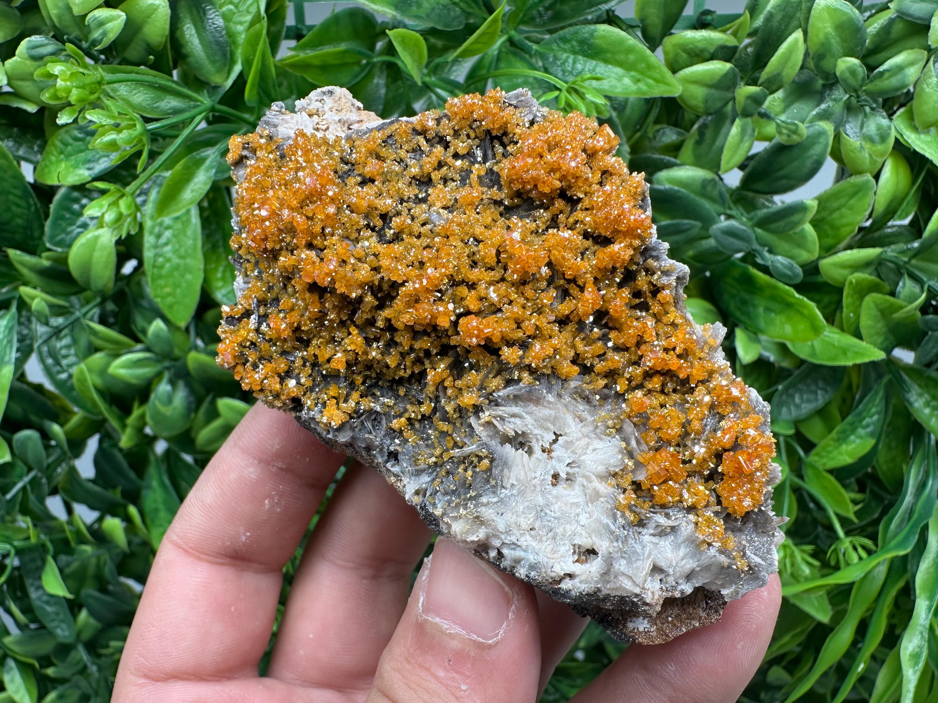 Rare Red Vanadinite Crystal Cluster on Barite with Goethite, Morocco