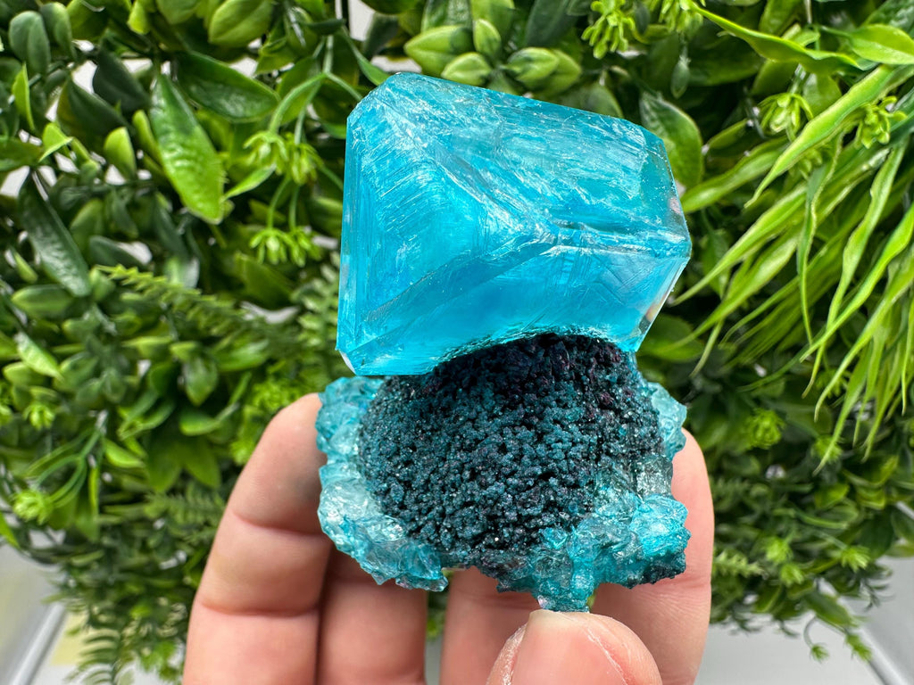 Exceptional Turquoise ALUNITE Aqua Crystal on Matrix UV Active, lab minerals