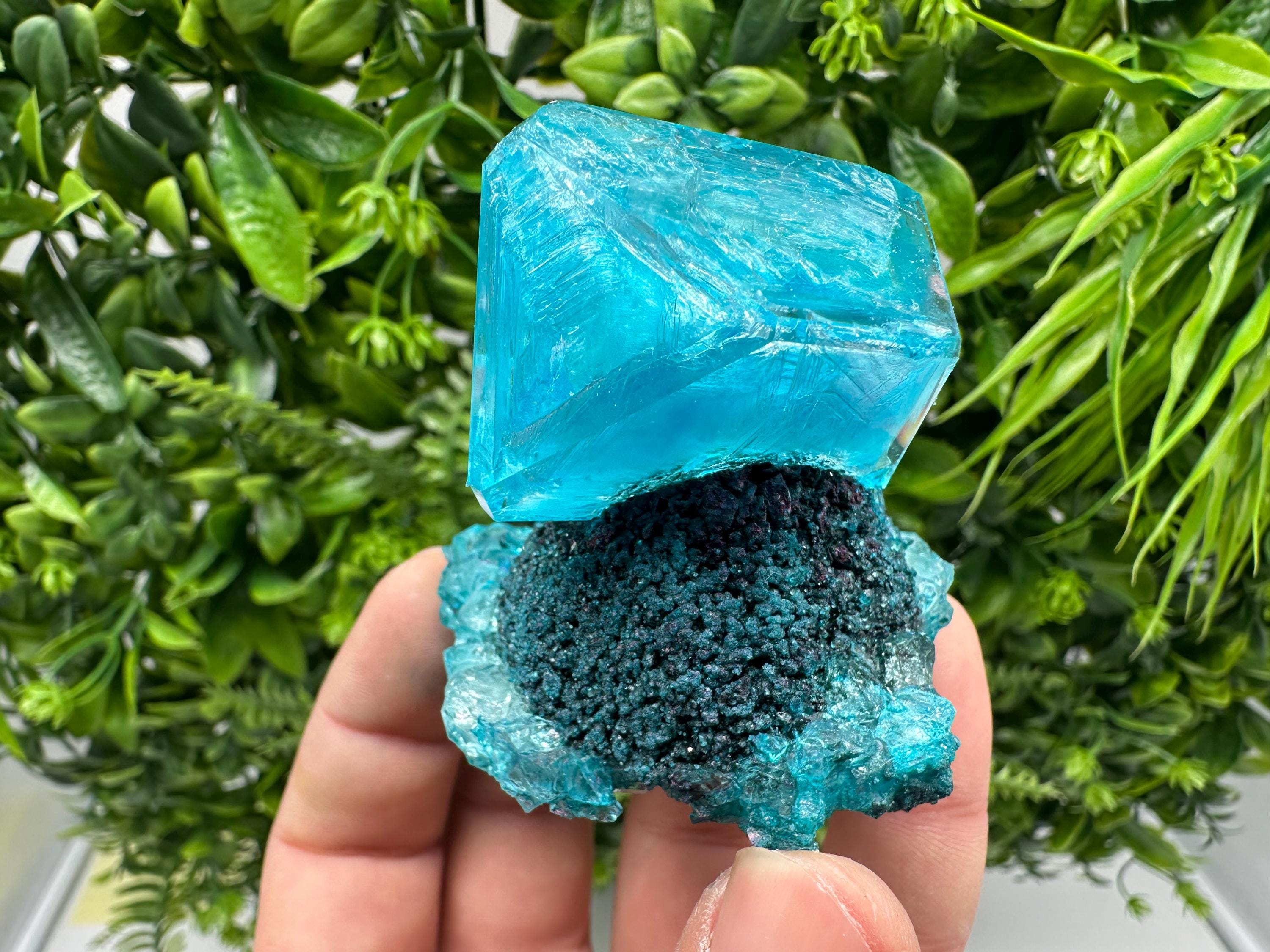 Exceptional Turquoise ALUNITE Aqua Crystal on Matrix UV Active, lab minerals