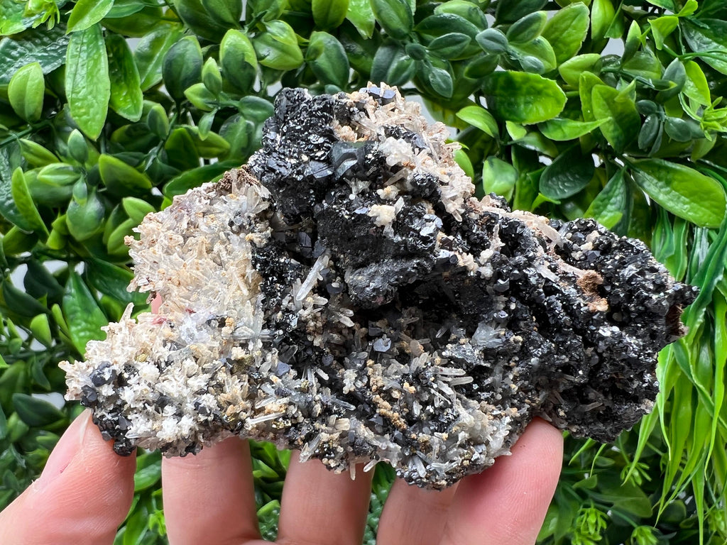 Aesthetic Natural shiny Galena whit Siderite and Quartz from 9 th September mine,Bulgaria,collection specimen,rare galena,Galena cluster